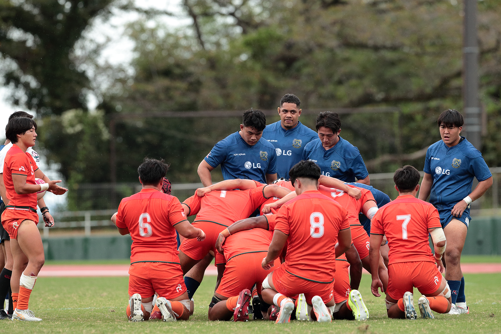 関東大学ラグビー秋季公式戦