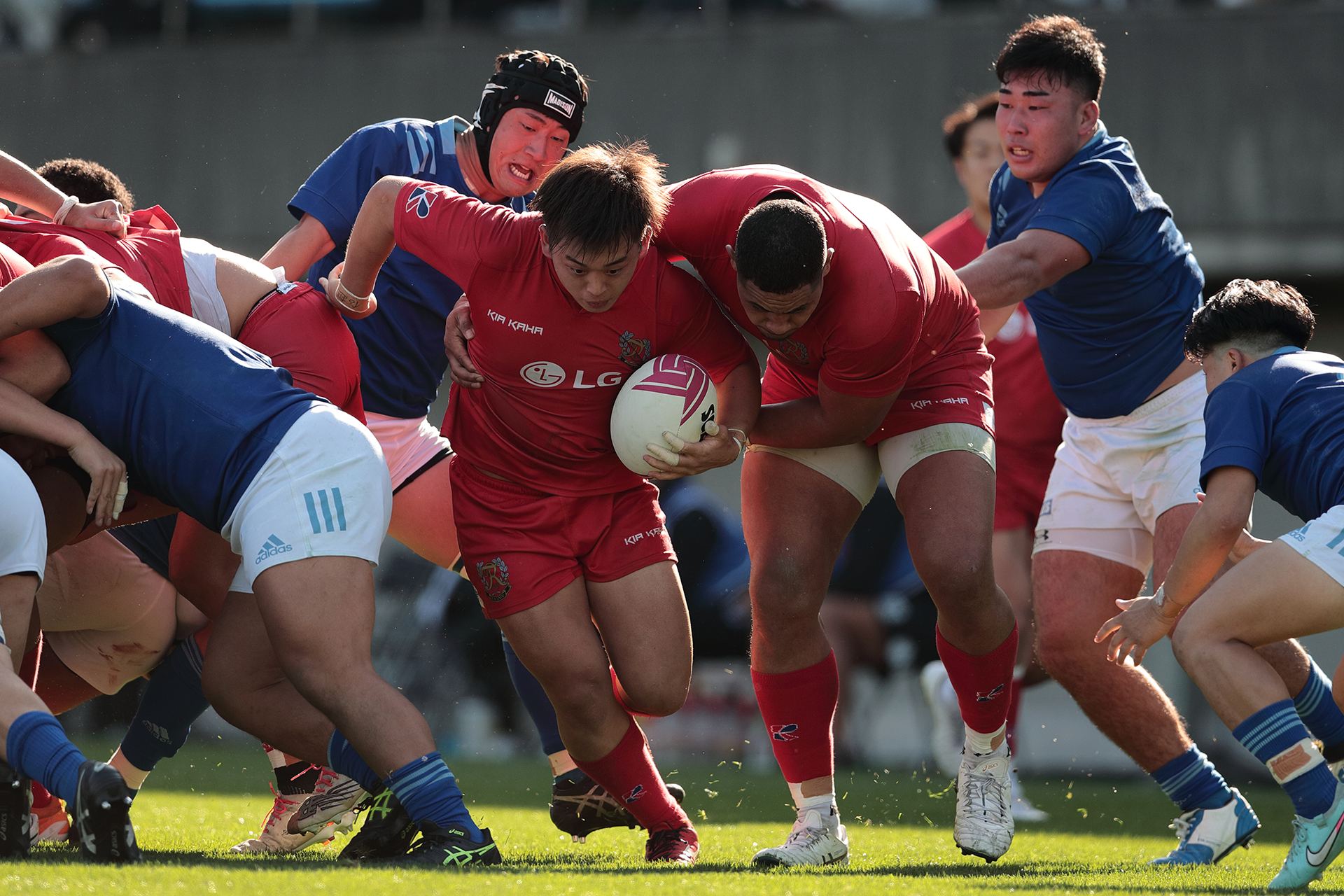 関東大学ラグビー秋季公式戦